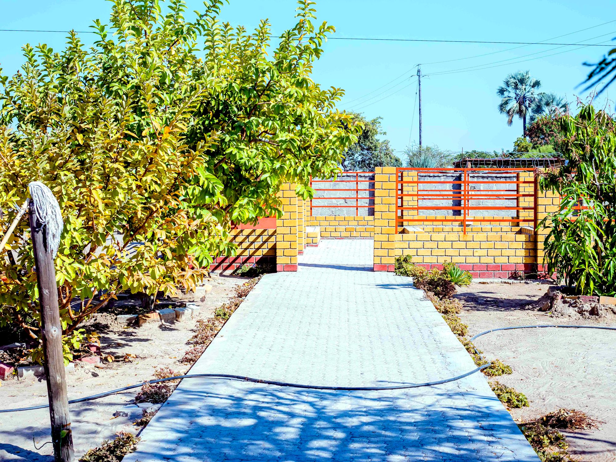garden path to the gate